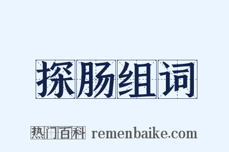 探肠组词是什么意思的图片